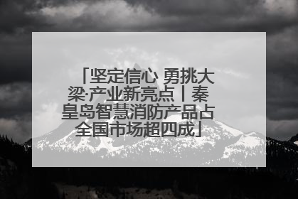 坚定信心 勇挑大梁·产业新亮点丨秦皇岛智慧消防产品占全国市场超四成