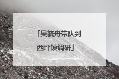 吴毓舟带队到西坪镇调研