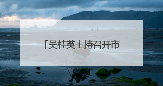 吴桂英主持召开市委财经委员会会议