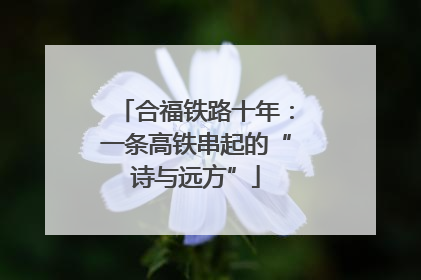 合福铁路十年：一条高铁串起的“诗与远方”