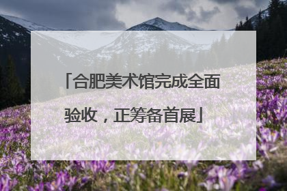 合肥美术馆完成全面验收，正筹备首展