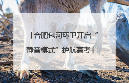 合肥包河环卫开启“静音模式”护航高考