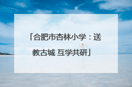 合肥市杏林小学：送教古城 互学共研