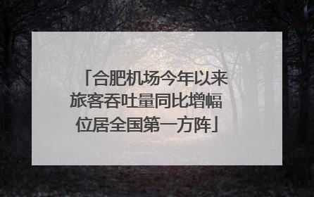 合肥机场今年以来旅客吞吐量同比增幅位居全国第一方阵