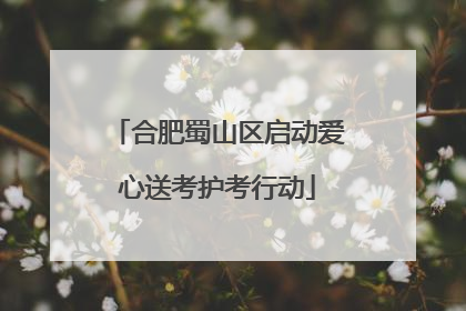 合肥蜀山区启动爱心送考护考行动