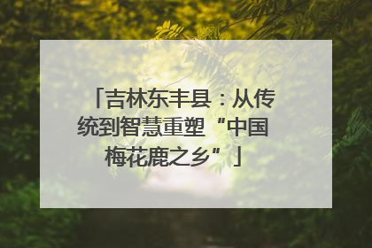 吉林东丰县：从传统到智慧重塑“中国梅花鹿之乡”