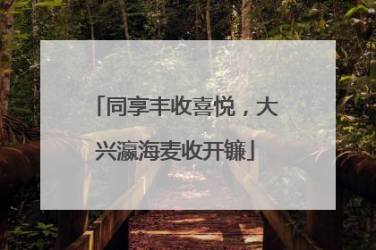 同享丰收喜悦，大兴瀛海麦收开镰