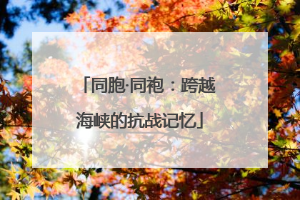 同胞·同袍：跨越海峡的抗战记忆