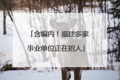 含编内！福建多家事业单位正在招人