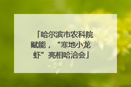 哈尔滨市农科院赋能，“寒地小龙虾”亮相哈洽会