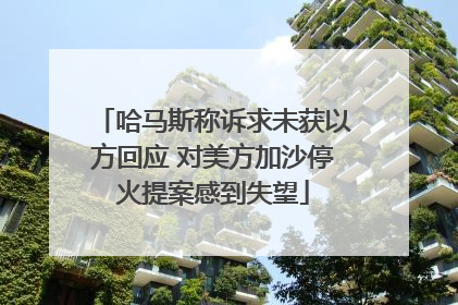 哈马斯称诉求未获以方回应 对美方加沙停火提案感到失望