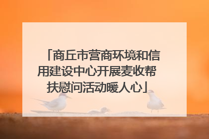 商丘市营商环境和信用建设中心开展麦收帮扶慰问活动暖人心