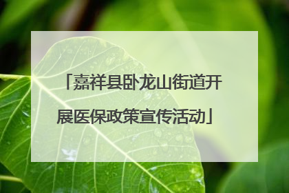 嘉祥县卧龙山街道开展医保政策宣传活动
