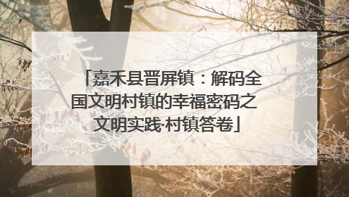 嘉禾县晋屏镇：解码全国文明村镇的幸福密码之 文明实践·村镇答卷