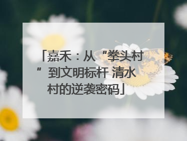 嘉禾：从“拳头村”到文明标杆 清水村的逆袭密码