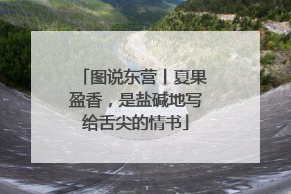 图说东营丨夏果盈香，是盐碱地写给舌尖的情书