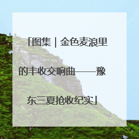 图集｜金色麦浪里的丰收交响曲——豫东三夏抢收纪实