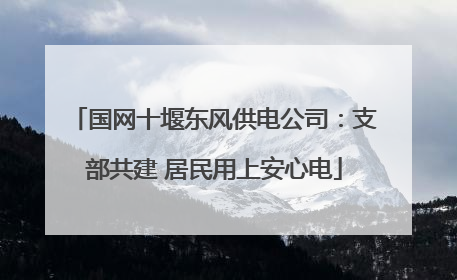 国网十堰东风供电公司：支部共建 居民用上安心电