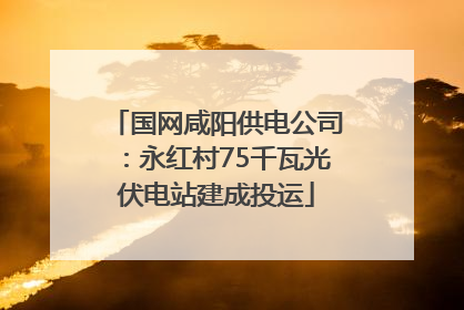 国网咸阳供电公司：永红村75千瓦光伏电站建成投运