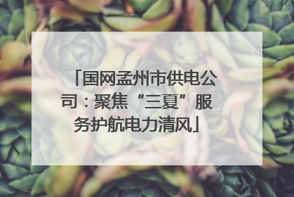 国网孟州市供电公司：聚焦“三夏”服务护航电力清风