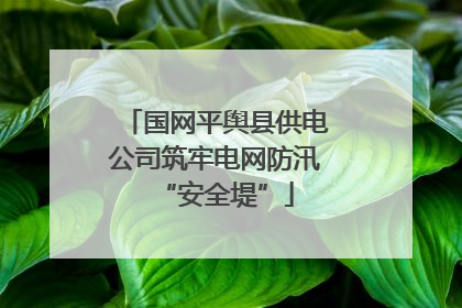 国网平舆县供电公司筑牢电网防汛“安全堤”