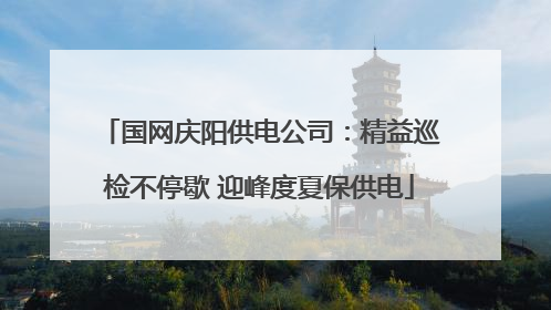 国网庆阳供电公司：精益巡检不停歇 迎峰度夏保供电