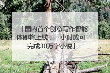 国内首个创意写作智能体即将上线，一小时或可完成30万字小说