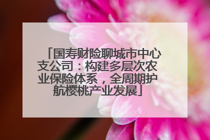 国寿财险聊城市中心支公司：构建多层次农业保险体系，全周期护航樱桃产业发展