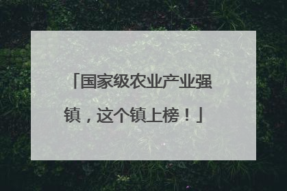国家级农业产业强镇，这个镇上榜！