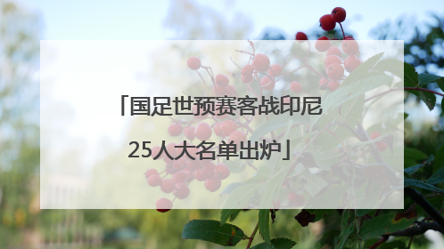 国足世预赛客战印尼25人大名单出炉