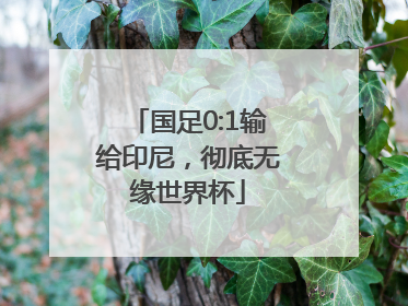 国足0:1输给印尼，彻底无缘世界杯
