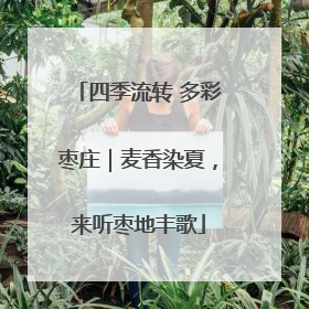 四季流转 多彩枣庄｜麦香染夏，来听枣地丰歌