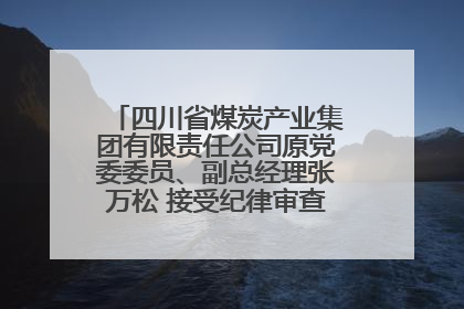 四川省煤炭产业集团有限责任公司原党委委员、副总经理张万松 接受纪律审查和监察调查