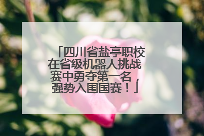 四川省盐亭职校在省级机器人挑战赛中勇夺第一名，强势入围国赛！