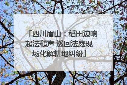 四川眉山：稻田边响起法槌声 巡回法庭现场化解耕地纠纷
