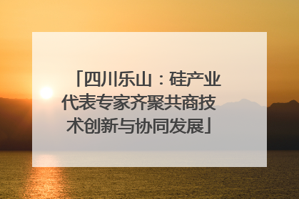 四川乐山：硅产业代表专家齐聚共商技术创新与协同发展