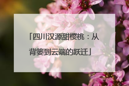 四川汉源甜樱桃：从背篓到云端的跃迁