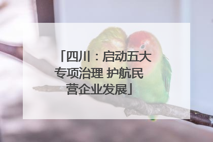 四川：启动五大专项治理 护航民营企业发展