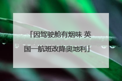 因驾驶舱有烟味 英国一航班改降奥地利