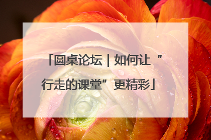 圆桌论坛｜如何让“行走的课堂”更精彩