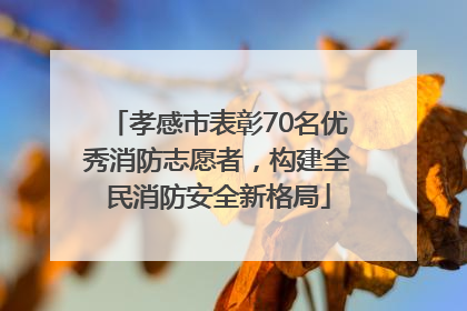 孝感市表彰70名优秀消防志愿者，构建全民消防安全新格局