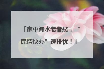 家中漏水老者愁，“民情快办”速排忧！
