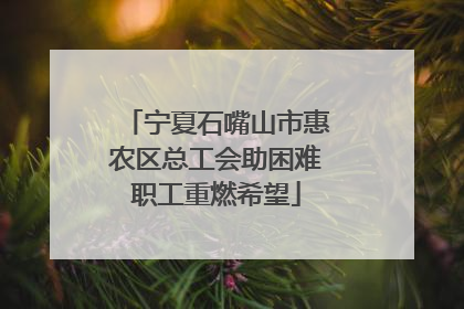 宁夏石嘴山市惠农区总工会助困难职工重燃希望