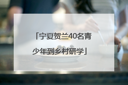 宁夏贺兰40名青少年到乡村研学