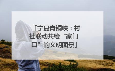 宁夏青铜峡：村社联动共绘“家门口”的文明图景