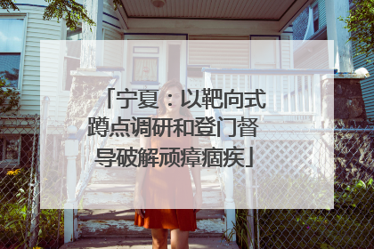 宁夏：以靶向式蹲点调研和登门督导破解顽瘴痼疾