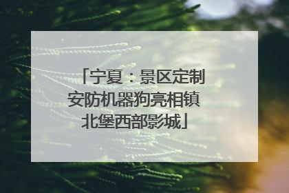 宁夏：景区定制安防机器狗亮相镇北堡西部影城