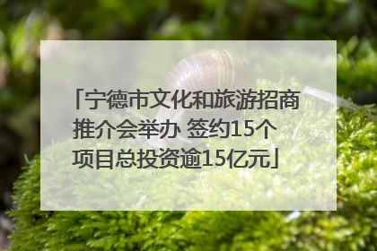 宁德市文化和旅游招商推介会举办 签约15个项目总投资逾15亿元