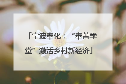 宁波奉化：“奉菁学堂”激活乡村新经济