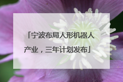 宁波布局人形机器人产业，三年计划发布